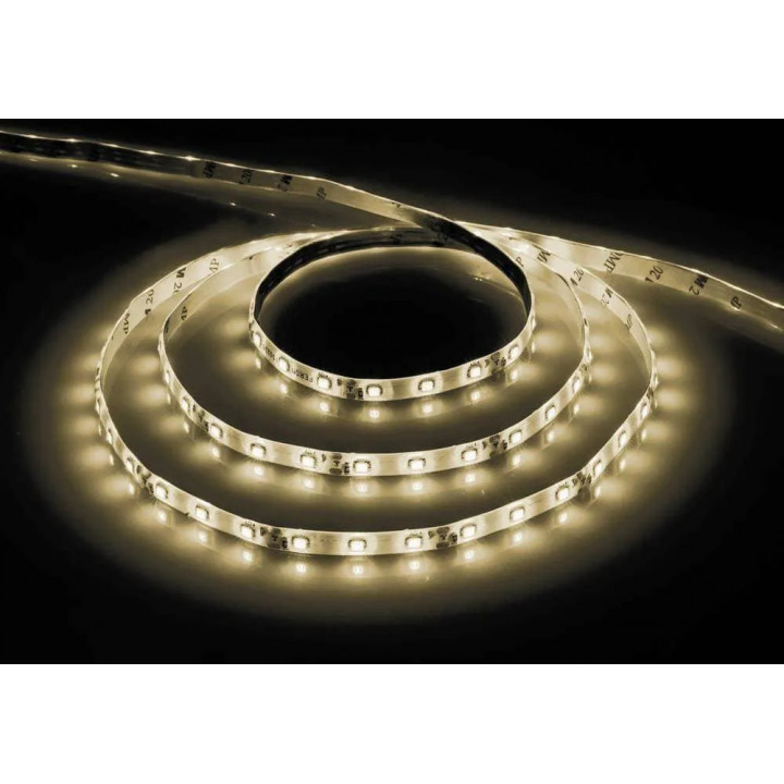 3528 60Led/m 150Lm/m 12V Econom белая холодная (герметичная)