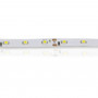 3528 60Led/m 150Lm/m 12V Econom белая теплая