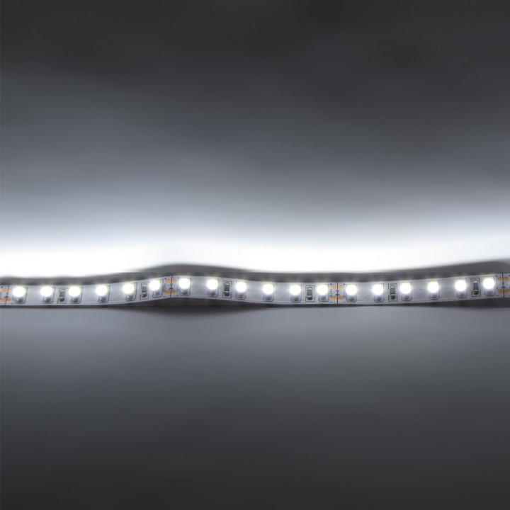 3528 120Led/m 480Lm/m 24V Standart белая холодная