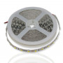 5050 60Led/m 600Lm/m 12V Standart белая теплая