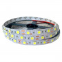 5050 60Led/m 600Lm/m 12V Standart белая холодная