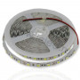 5050 60Led/m 1260Lm/m 12V Lux белая холодная