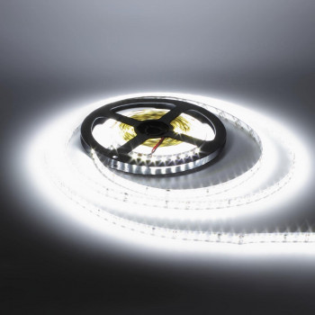 2835 120Led/m 2400Lm/m 24V Standart белая холодная